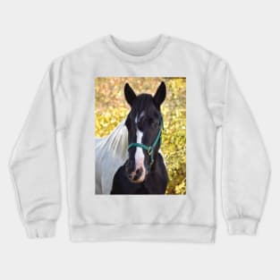 Drum horse Crewneck Sweatshirt